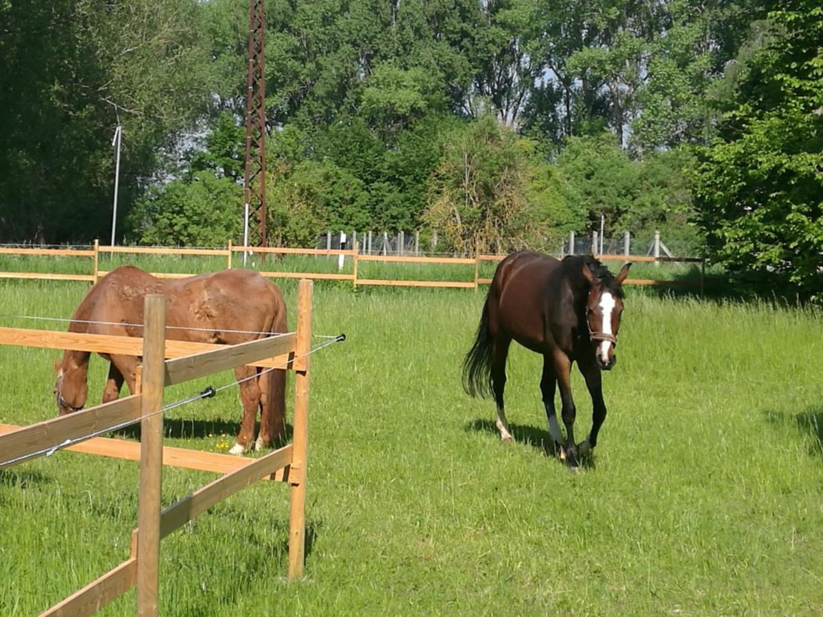 Ferienpark Aparthotel Seeland Schadeleben Kültér fotó